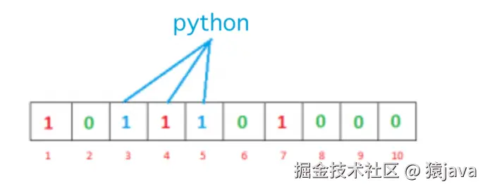 bloom-python.png
