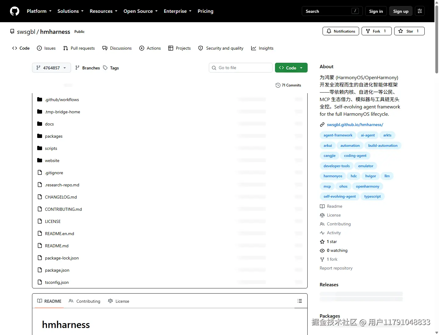 GitHub 仓库入口
