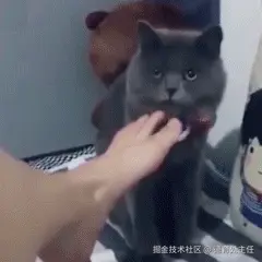 40.gif