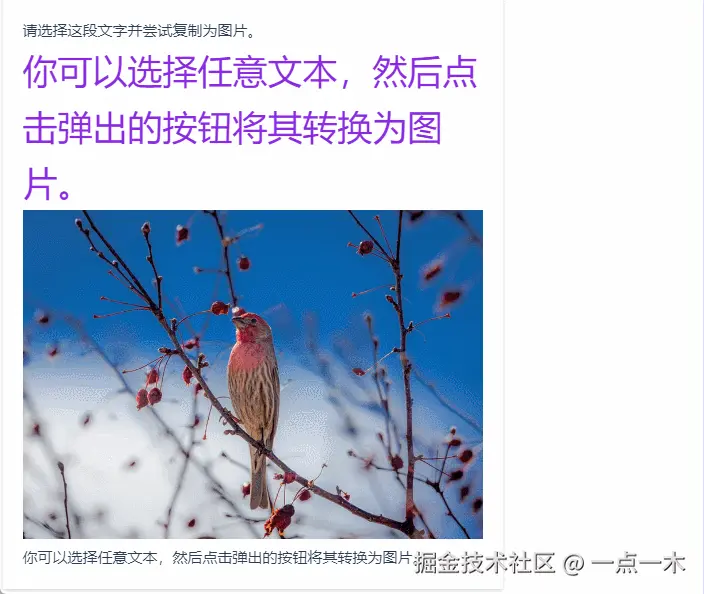 复制为图片后