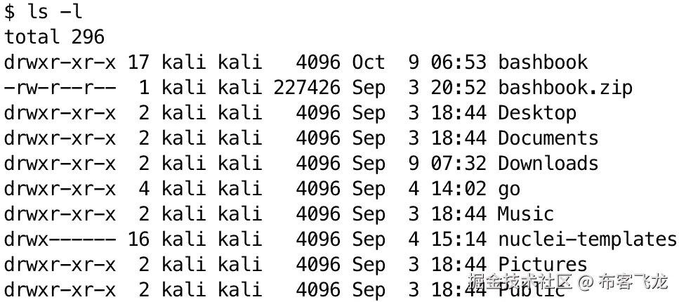 图 2.2 – 使用 ls 命令的-l 选项显示扩展的文件和目录信息