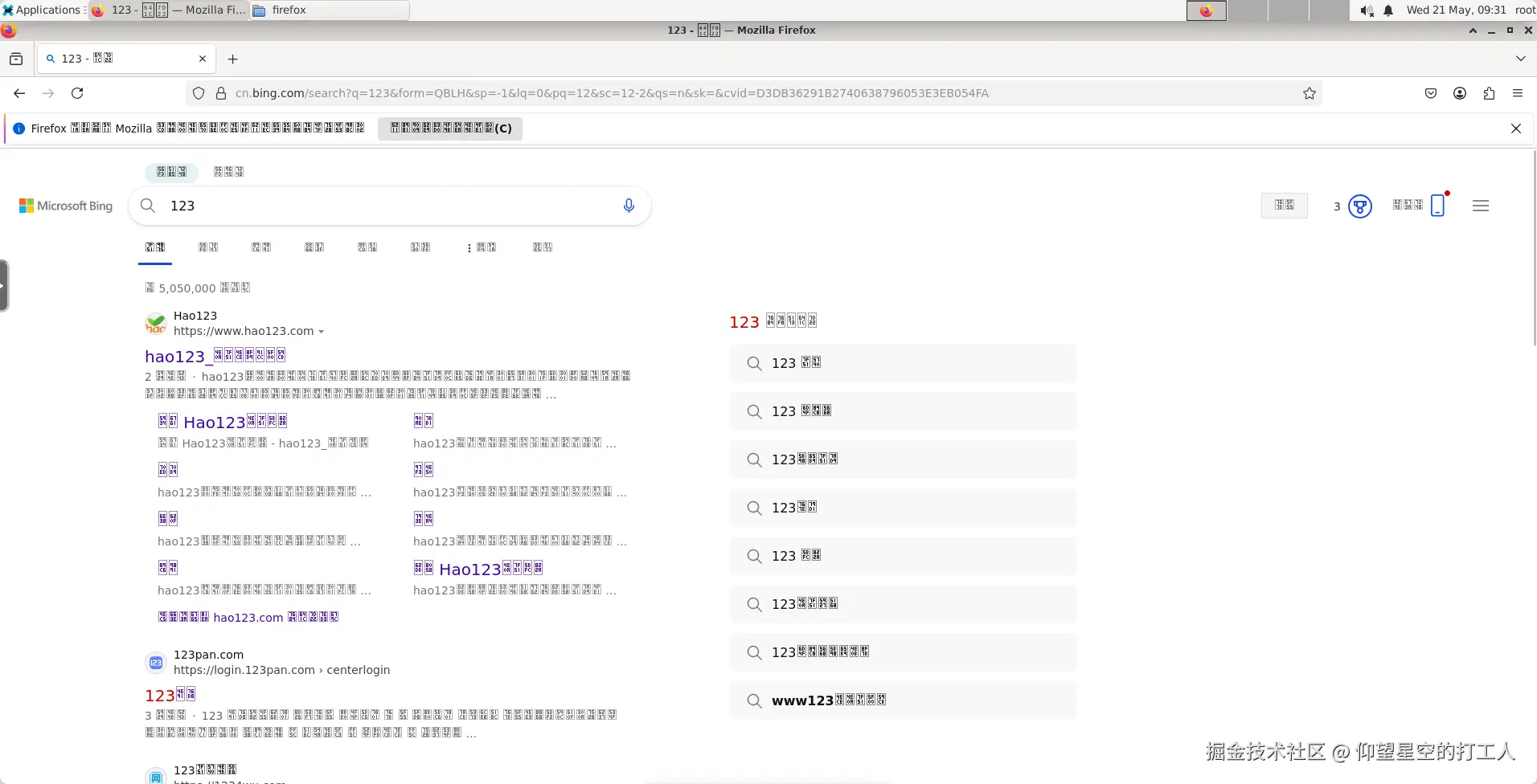 image-20250521093108656