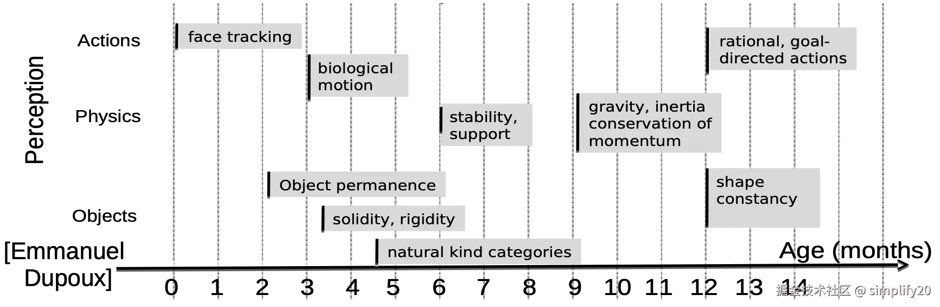 Dupoux 关于认知发展的图表