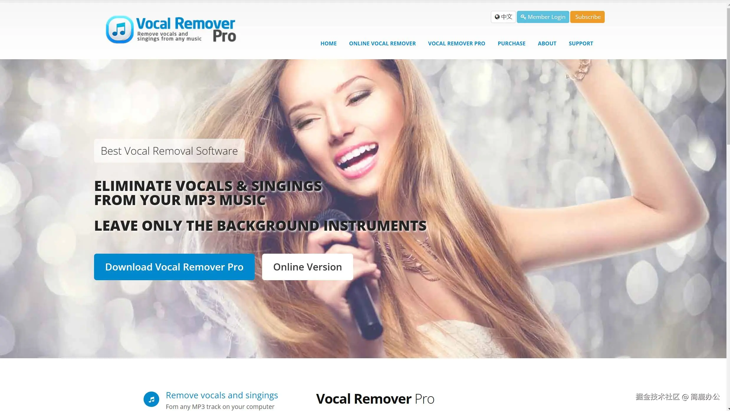 Vocal Remover Pro