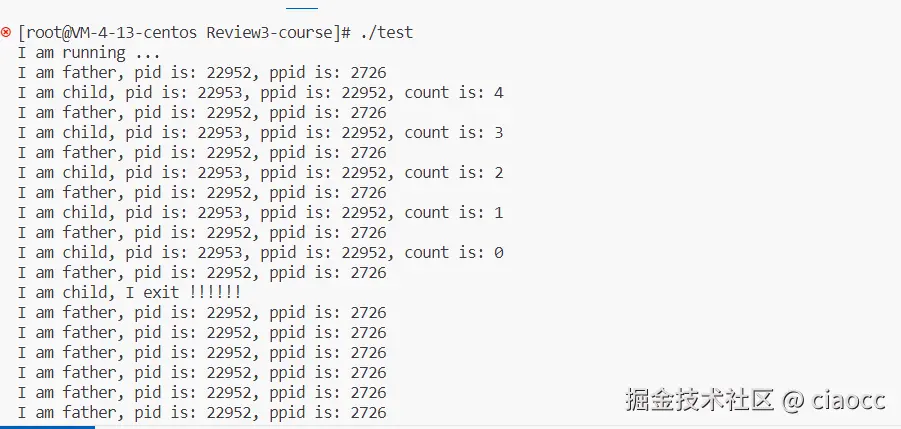 image-20231213231248465