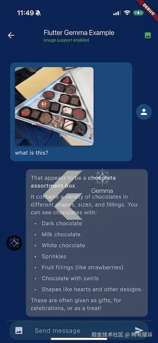 Gemma 3n Multimodality