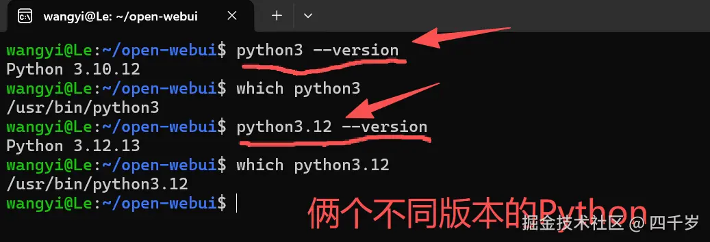 两个不同版本的Python