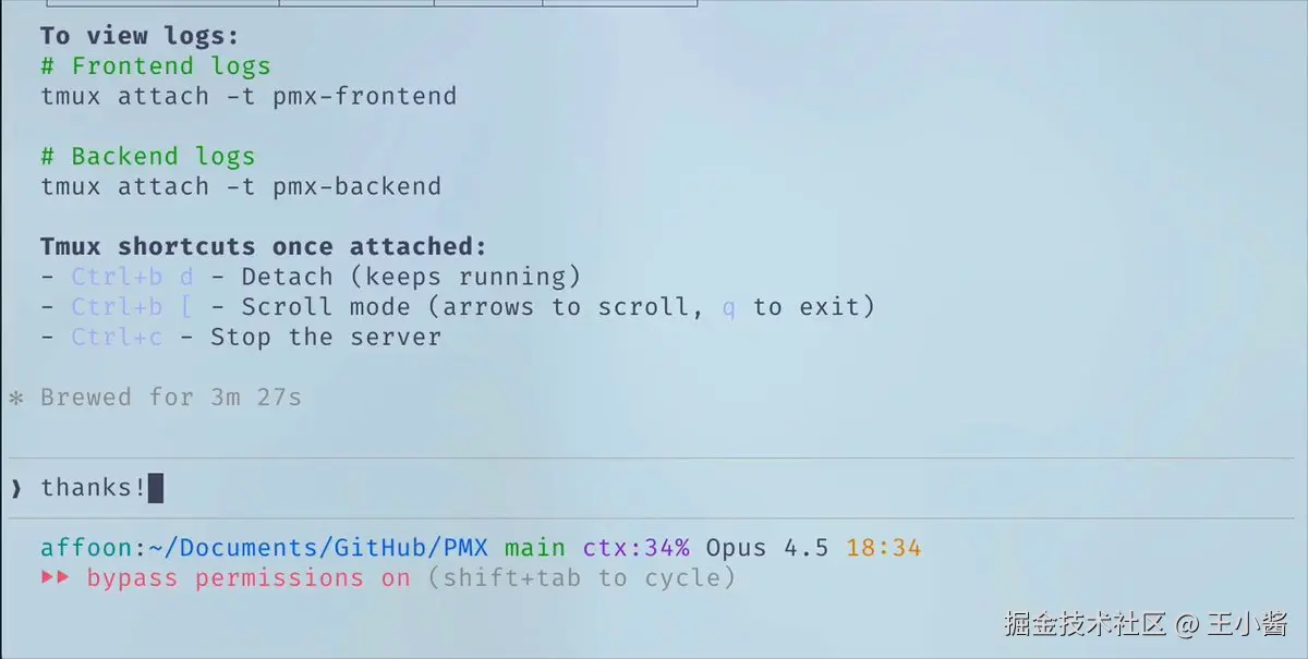 让 Claude Code 启动前端和后端服务器，并通过 tmux 附加会话监控日志
