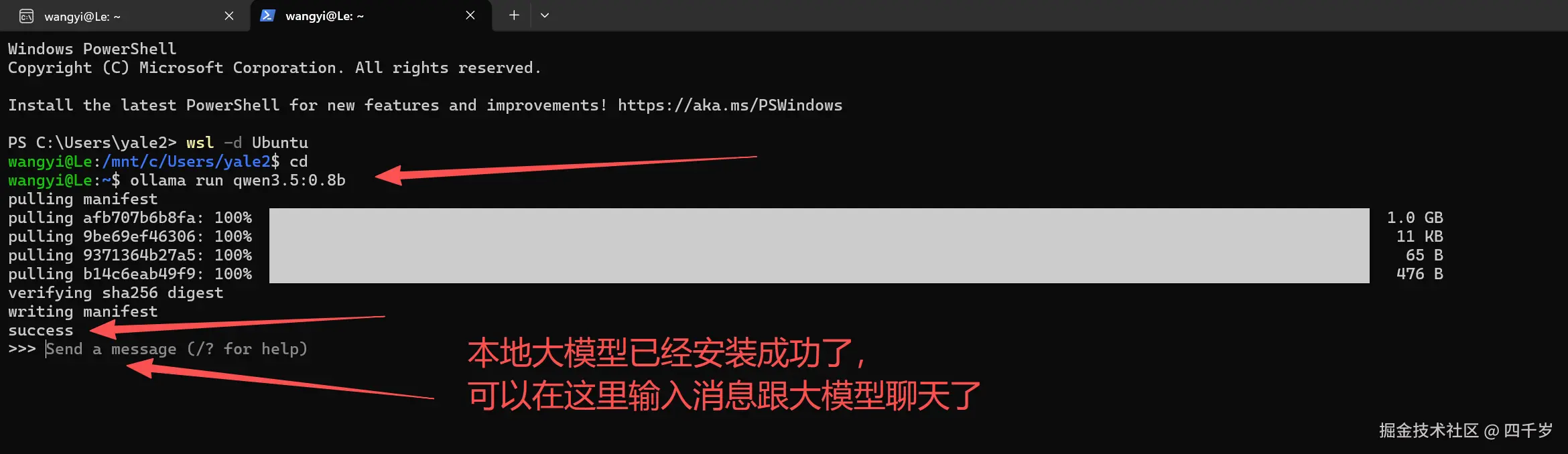 本地大模型安装成功