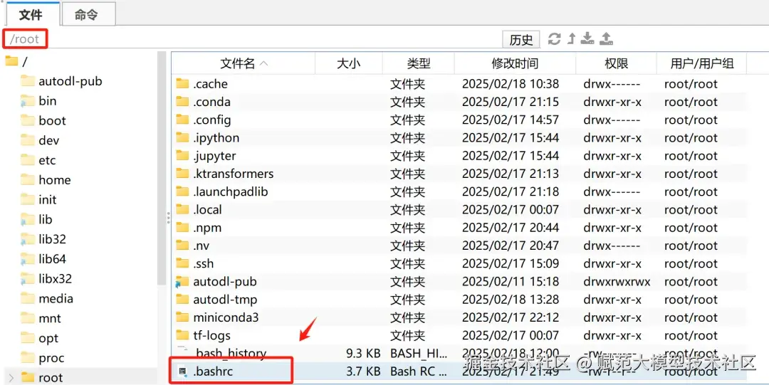 image-20250218174919950