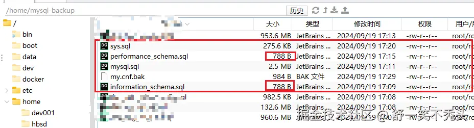 image-20240919231653132