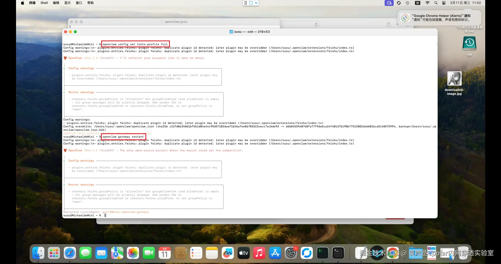 image-20260311110306136