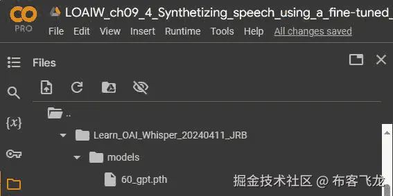 图 9.10 – 在 Google Colab 中通过 DLAS 创建的检查点文件示例