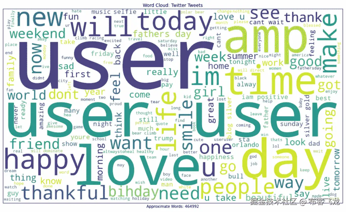 图 6.3 – Twitter 词云