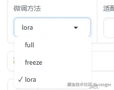 微调方式.png