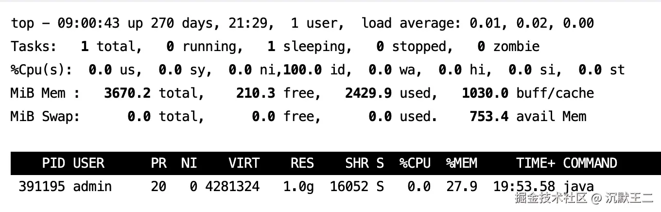 二哥的 Java 进阶之路：top -p