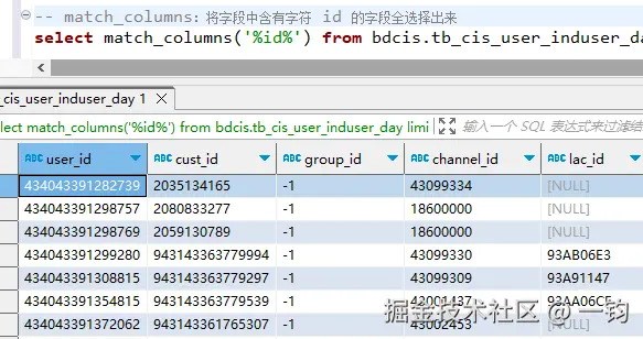 match_columns_vertica_out.png