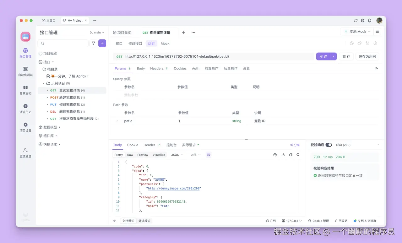 Apifox 端内 UI 界面