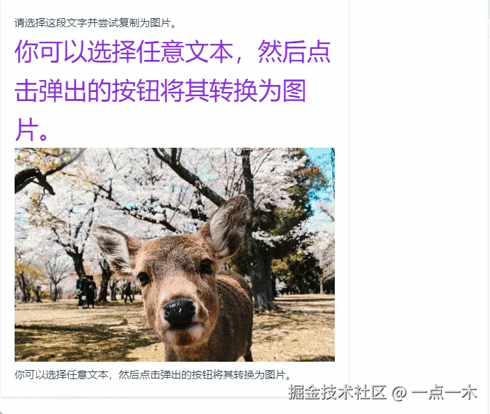 复制为Markdown后.gif