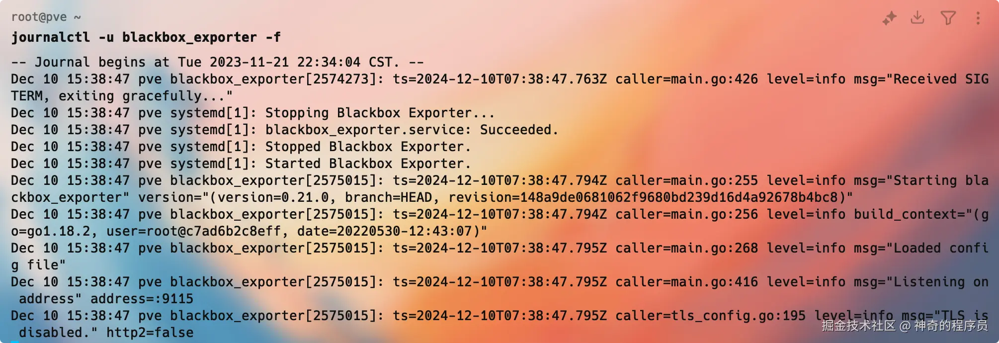 image-20241211111431889