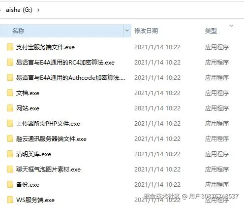 U盘文件夹变exe：全面解析与数据恢复指南