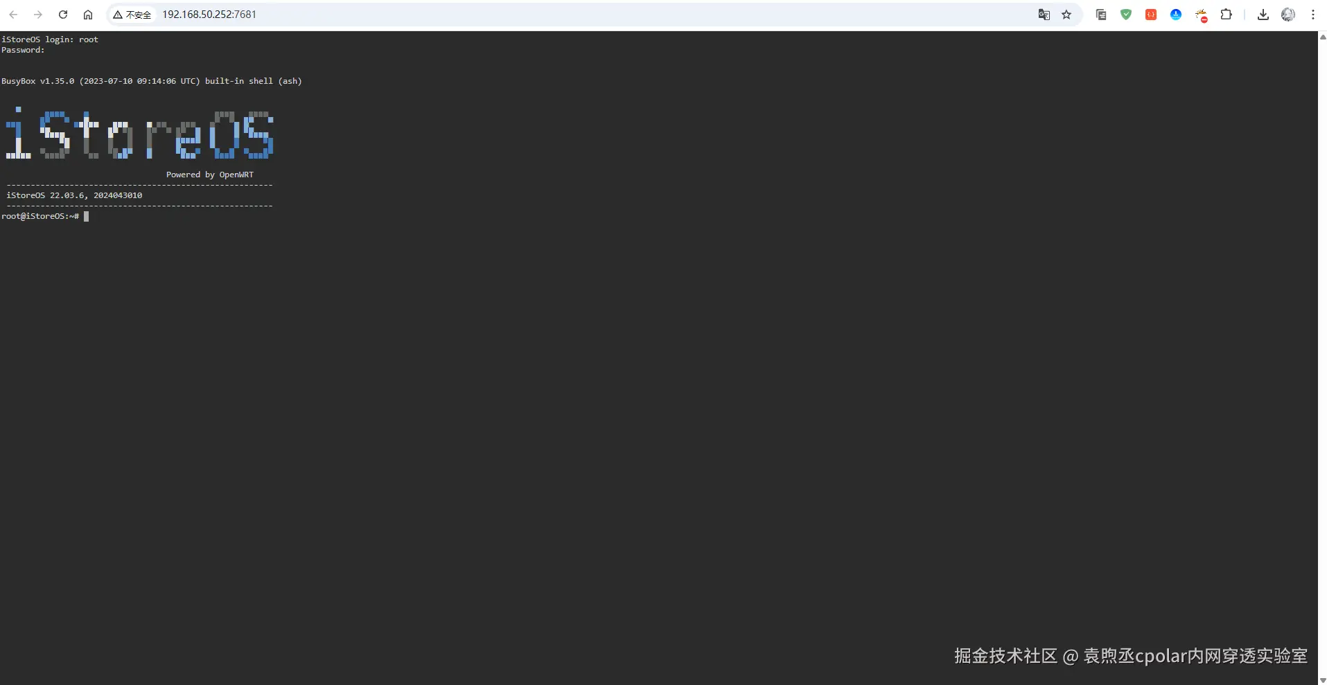 image-20250822191816421