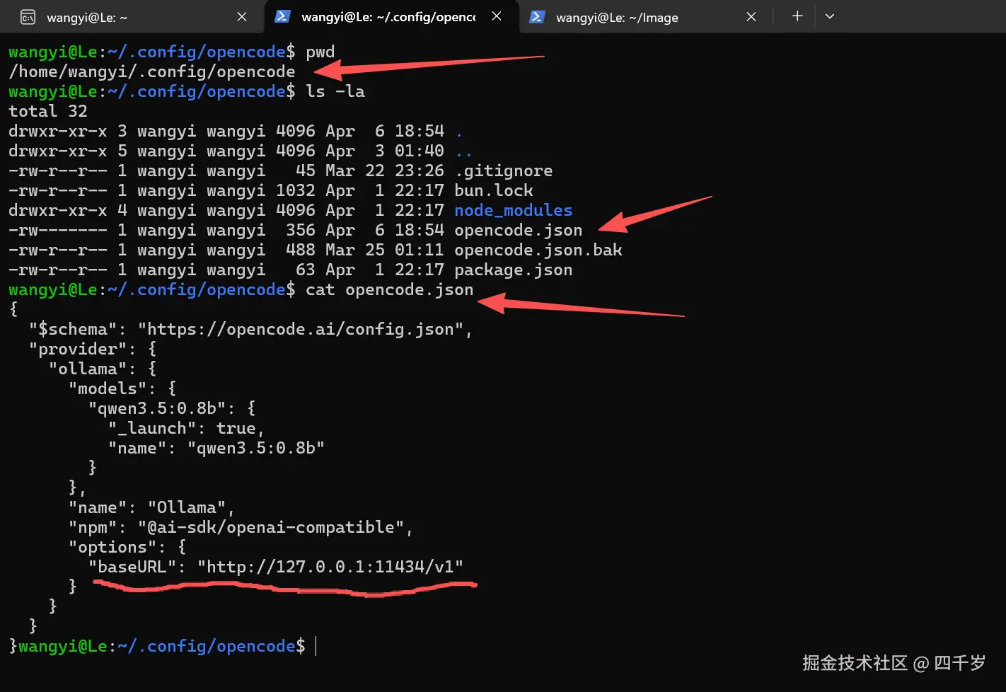 查看opencode.json配置文件