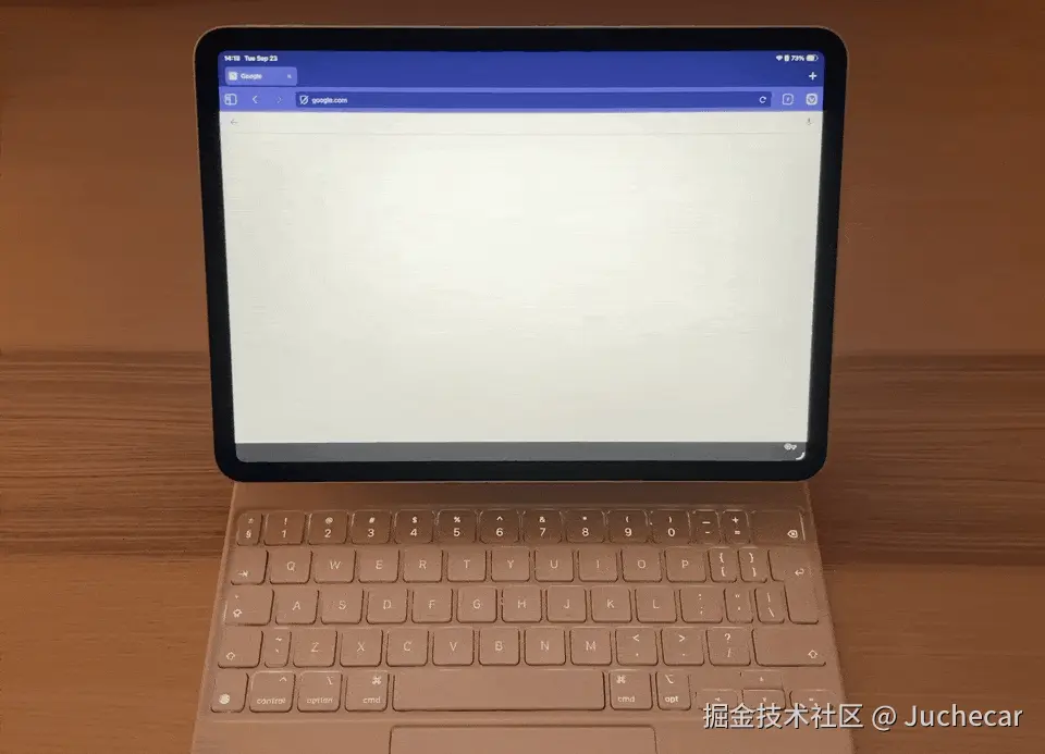 Vivaldi 输入问题