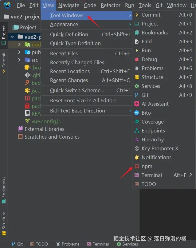 npm 如何添加图标.png