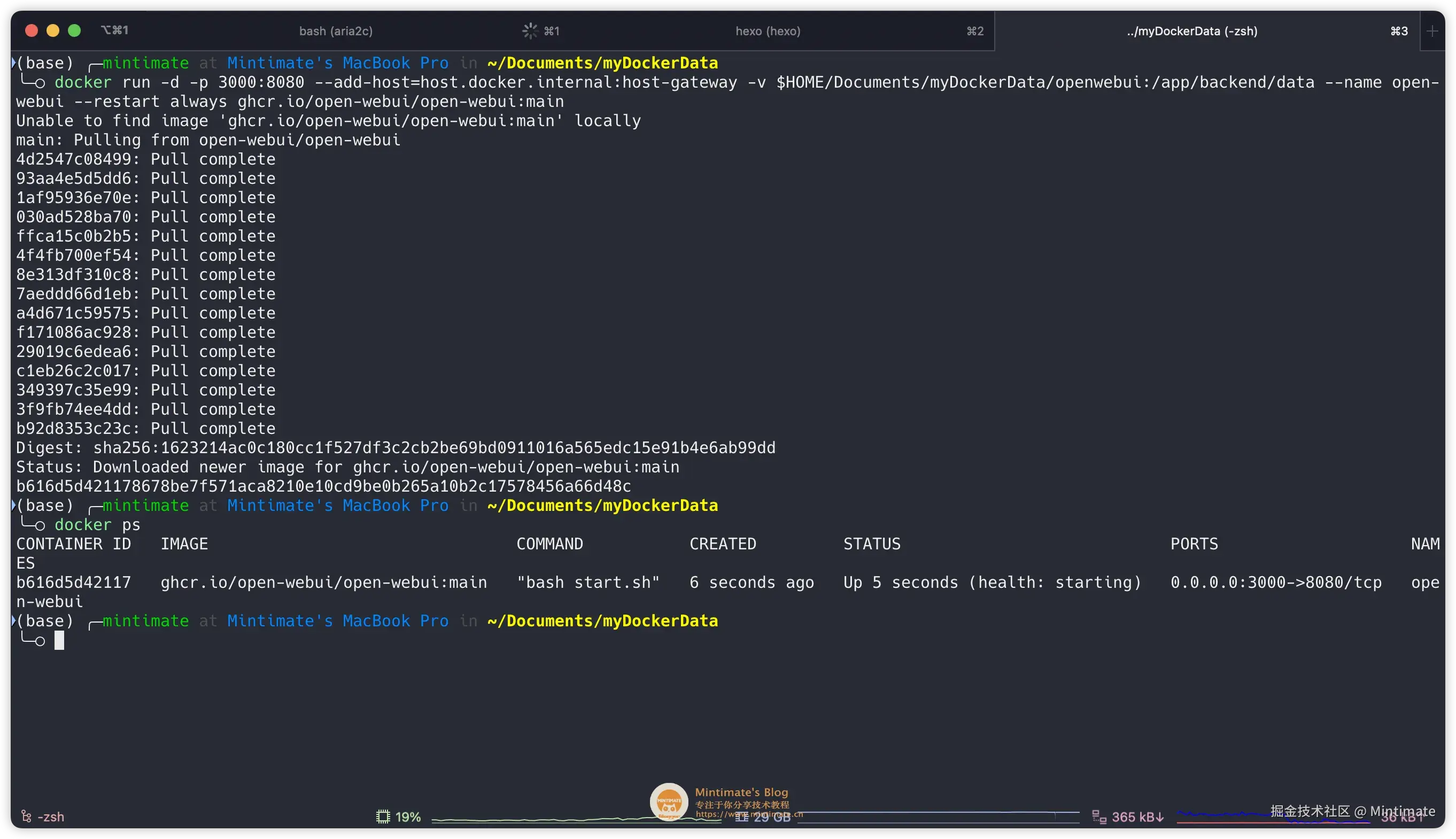 Docker 拉取 Open WebUI