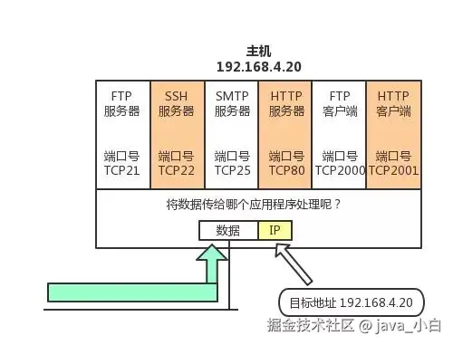 太厉害了，终于有人能把TCP/IP 协议讲的明明白白了