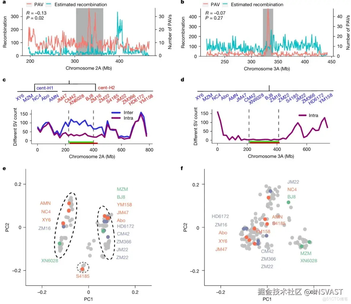  Sentieon项目文章 | 泛基因组揭示小麦结构变异与栖息地及育种的关联_数据_05