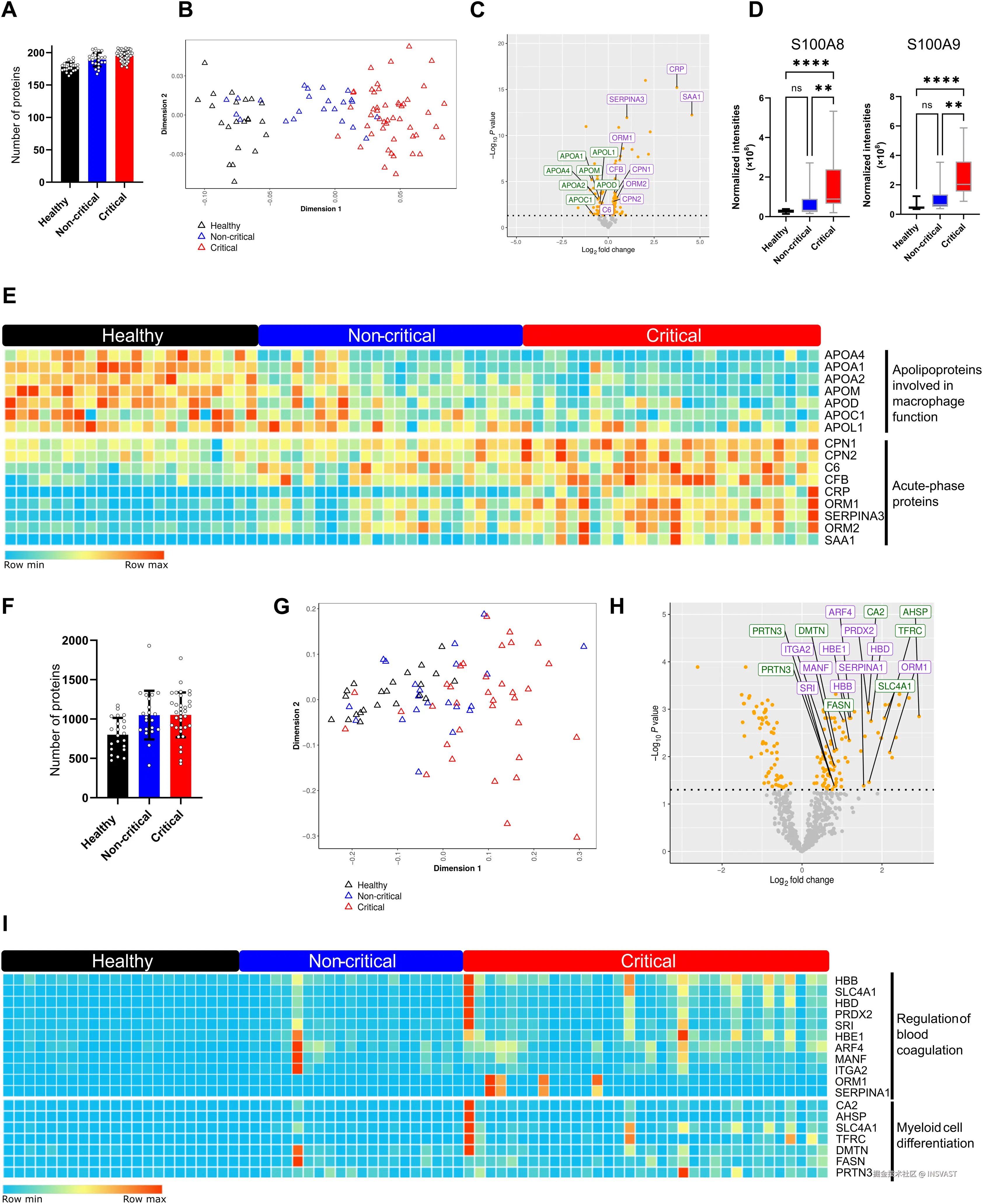 图4  血浆和PBMC蛋白质组学分析区分健康个体、非危重型COVID-19患者和危重型COVID-19患者。  (A) 显示患者和健康对照血浆中鉴定并用于定量和差异分析的总蛋白数。每个点代表一个患者，柱状图表示均值±标准差。  (B) 展示三组所有个体标准化强度的多维尺度分析图。  (C) 火山图显示危重型与非危重型患者间差异表达蛋白(DEPs)。橙色点表示校正P<0.05的差异表达蛋白。绿色和紫色标记分别代表下调的载脂蛋白和上调的急性期蛋白。  (D) 显示三组中S100A8和S100A9蛋白的标准化强度。数据以箱线图显示，包括45名危重患者、23名非危重患者和22名健康对照。  (E) 热图显示三组中参与巨噬细胞功能的载脂蛋白和急性期蛋白的表达。红色表示上调蛋白，浅蓝色表示下调蛋白。  (F) 显示患者和健康对照PBMC中鉴定并用于定量和差异分析的总蛋白数。  (G) 展示三组所有患者/个体标准化强度的多维尺度分析图。  (H) 火山图显示危重型与非危重型患者间差异表达蛋白。绿色和紫色标记分别代表参与血液凝固调节和髓系细胞分化的上调蛋白。  (I) 热图显示三组中参与血液凝固调节和髓系细胞分化的蛋白表达。