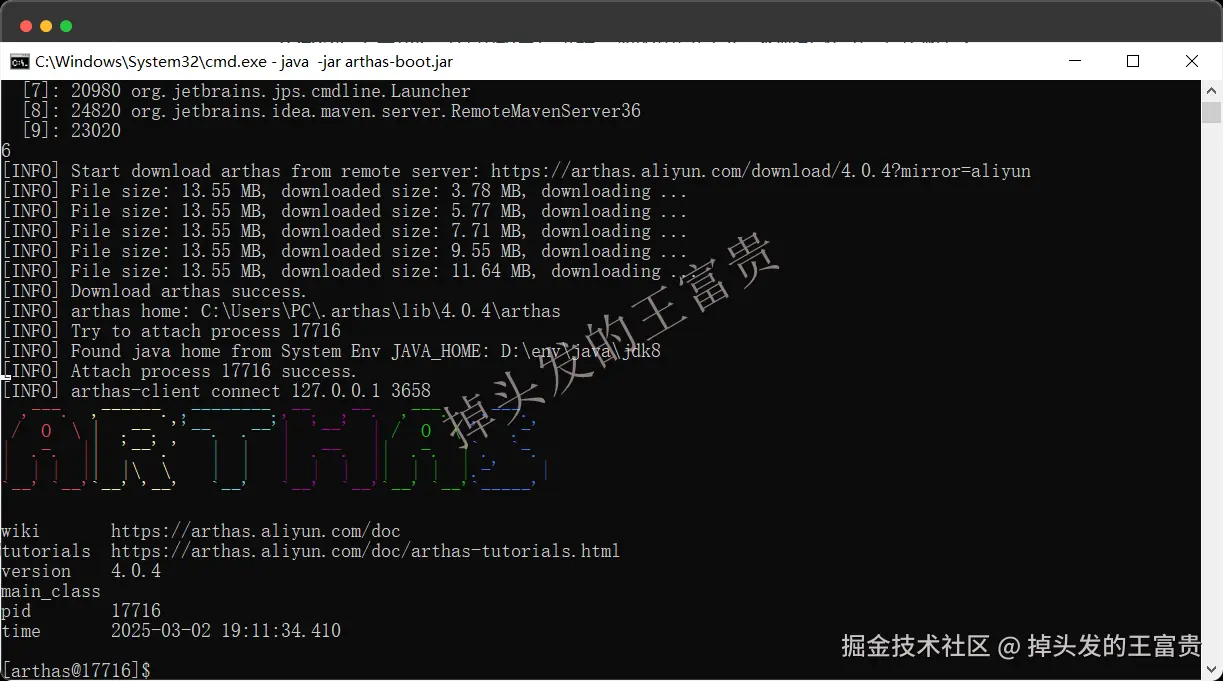 image-20250302191149273