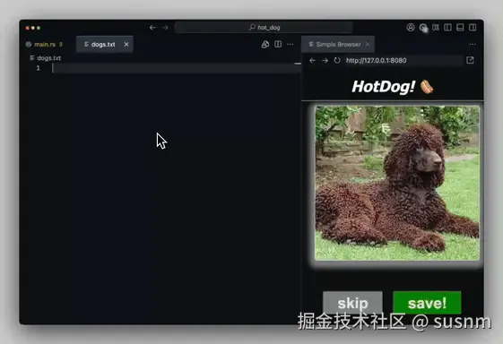 dog-save-serverfn-2bff01ff3208c788.gif