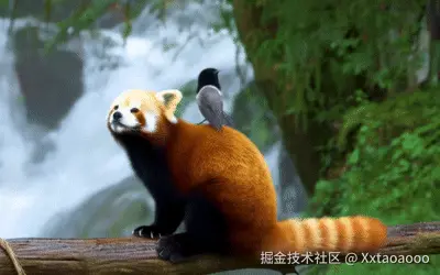 HunyuanVideo_00001.gif