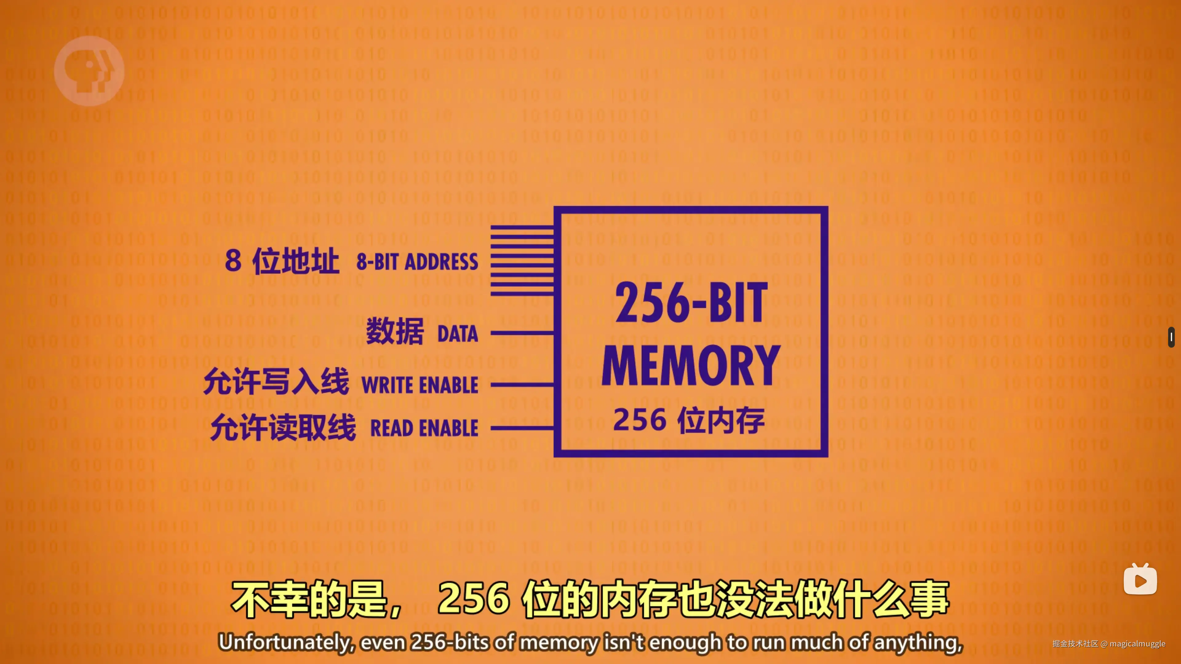 一个 256 位内存模块