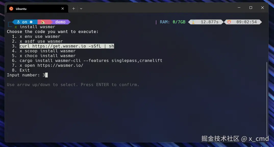 x_install_wasmer.png