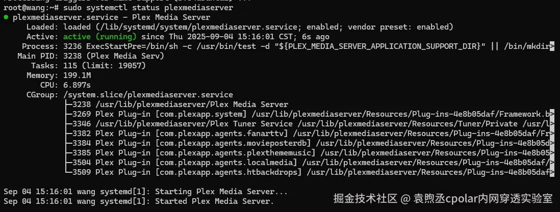 image-20250904153936811