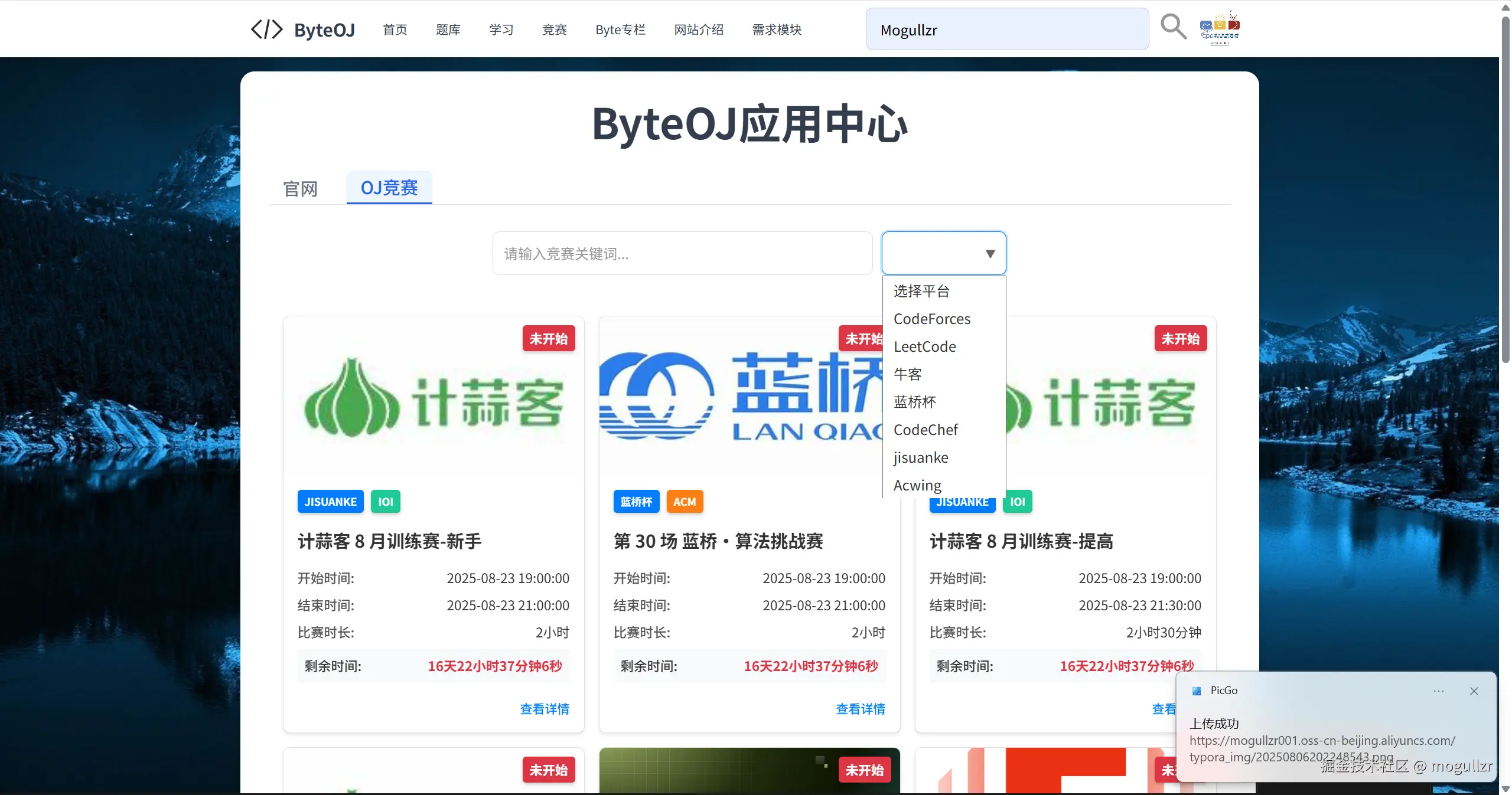 image-20250806202259277