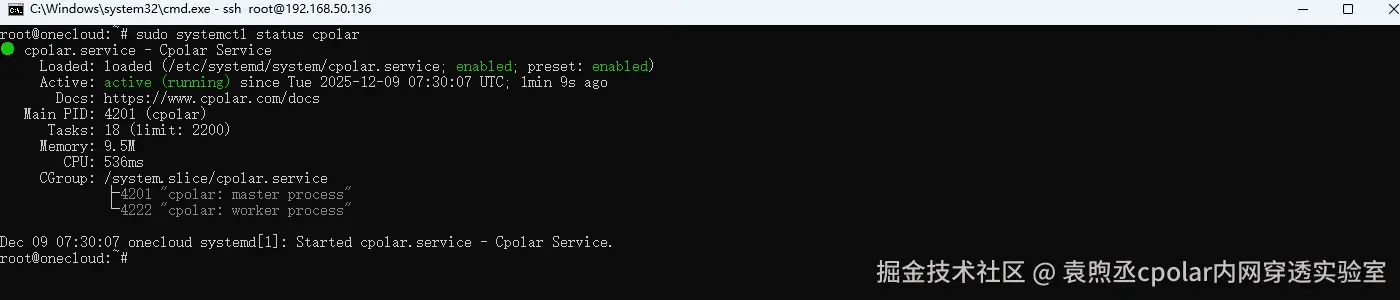 image-20251209153125982