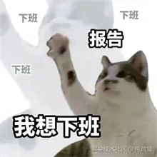 00C526A4.jpg