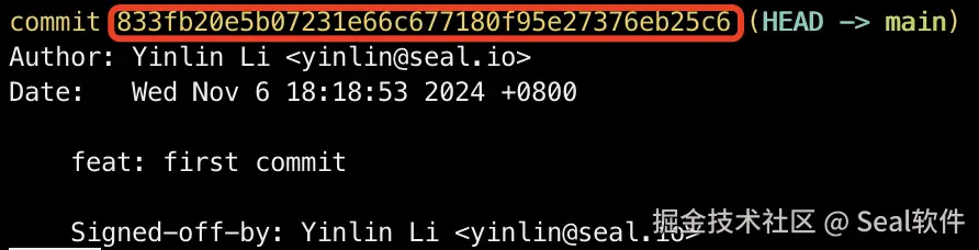 image-20241106224107550