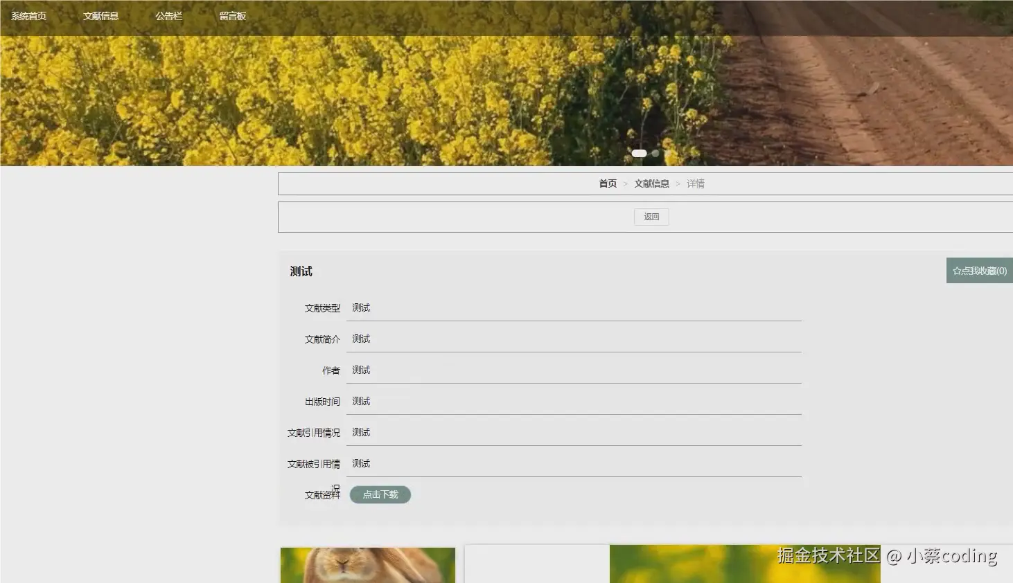 image-20240718233539355