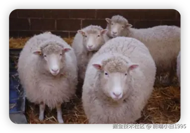 image-20221212094353715