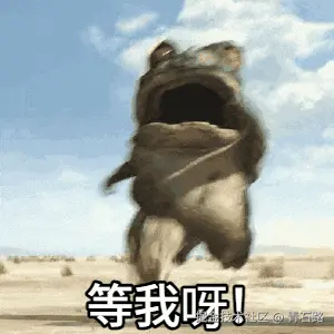 等我呀.gif