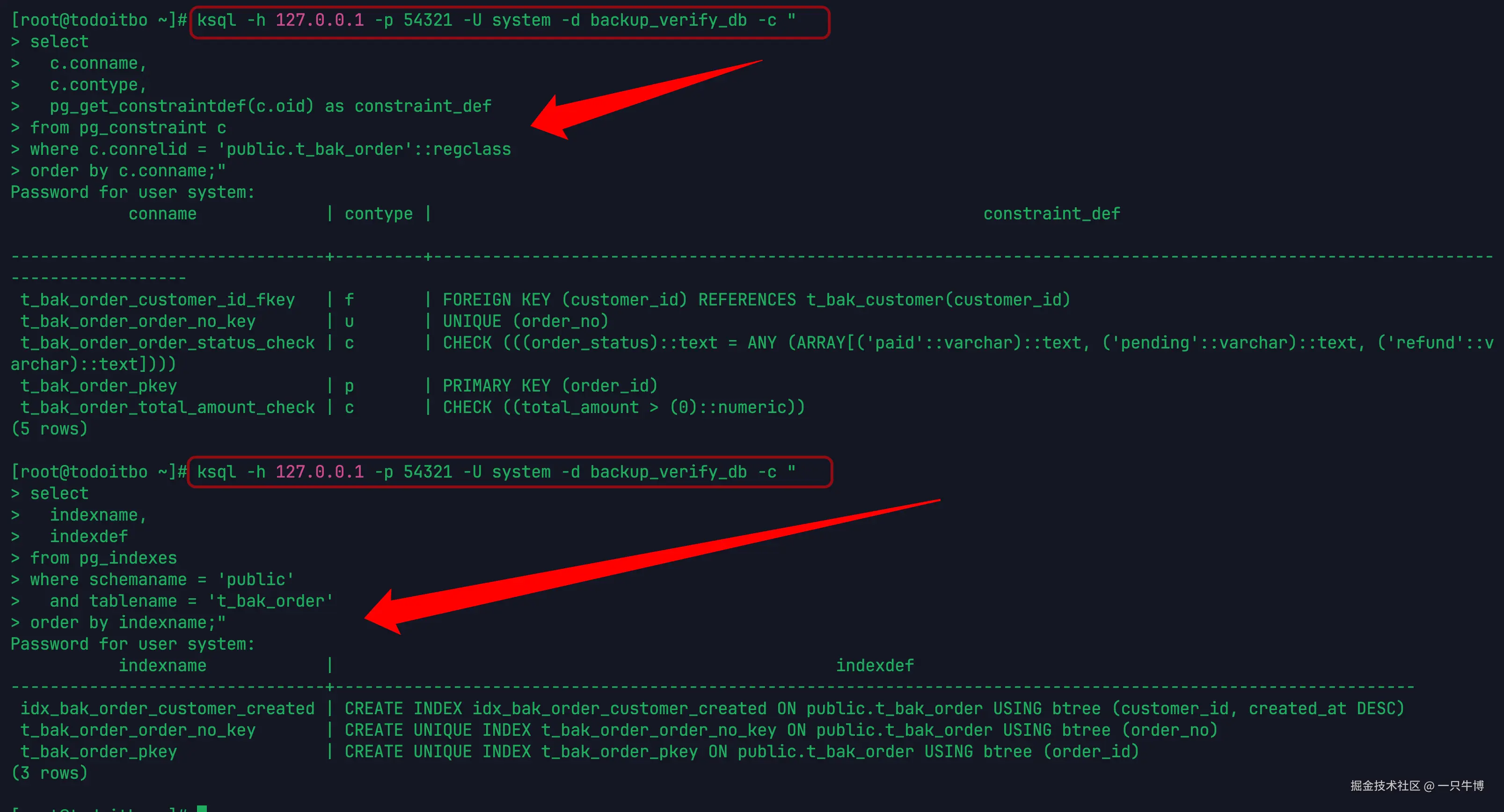 Object, index, and constraint check in verification database