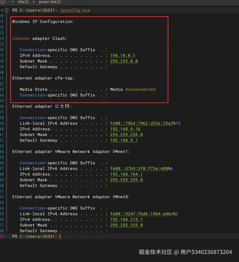 （配图：PowerShell 输出中显示 Tun/Tap 虚拟网卡信息的截图）