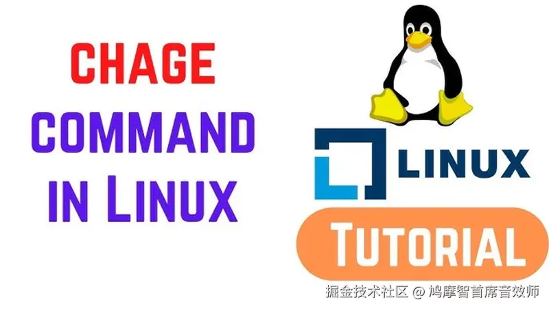 How to Use the Chage Command in Linux