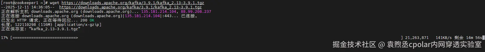 image-20251211143927163